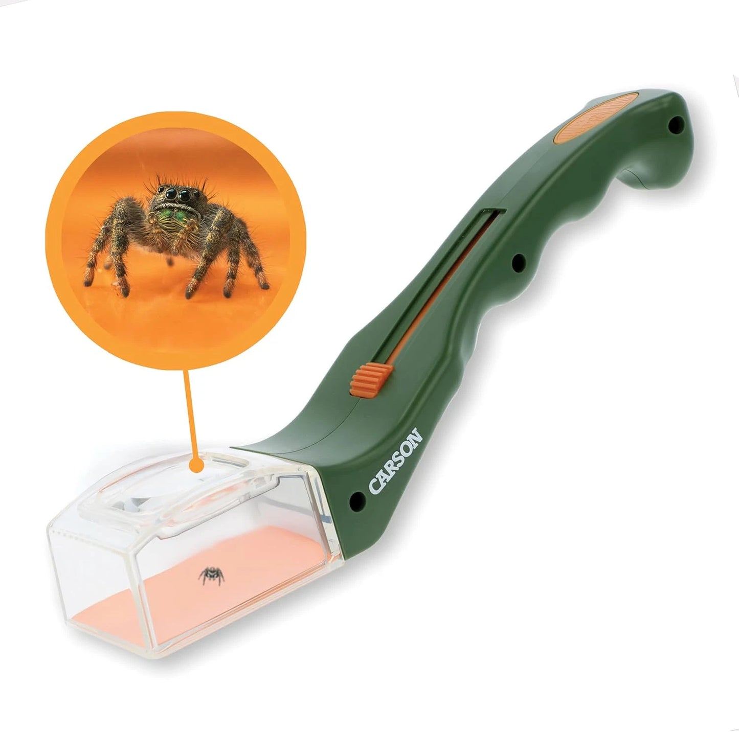Bugview 5X Magnifying Glass Quick-Release Bug Catcher Indoor and Outdoor Tool fo