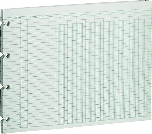 Wilson Jones G1010 Accounting Sheets 10 Column 9-1/4 x 11-7/8 Green – 100 Loose Sheets – Free Ship