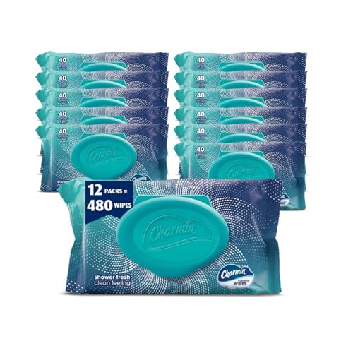 Charmin Flushable Wipes: 12-Pack Value Case (480 Total Wipes) Free Shipping