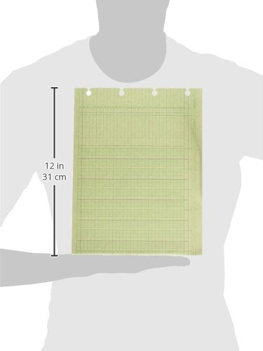 Wilson Jones G1010 Accounting Sheets 10 Column 9-1/4 x 11-7/8 Green – 100 Loose Sheets – Free Ship
