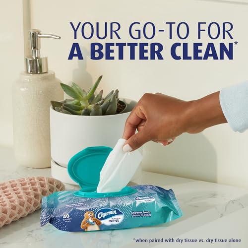 Charmin Flushable Wipes: 12-Pack Value Case (480 Total Wipes) Free Shipping