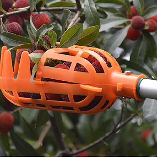 Plastic Fruit Picker Head – Deep Basket Harvester Tool