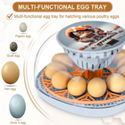 Smart Chicken Egg Incubator for Hatching Eggs – Automatic Turner Small Incubator – Free Shipping