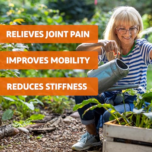 Voltaren Arthritis Pain Gel with Diclofenac 100g x2 – Easy Open Cap Topical Pain Relief – Free Shipping