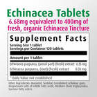 A.Vogel Echinaforce 120 Tablets – Fresh Echinacea Immune Support Supplement – Free Shipping