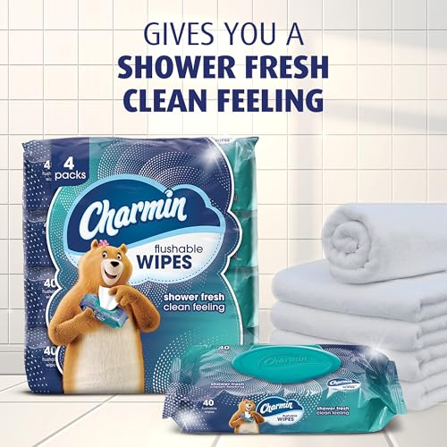 Charmin Flushable Wipes: 12-Pack Value Case (480 Total Wipes) Free Shipping