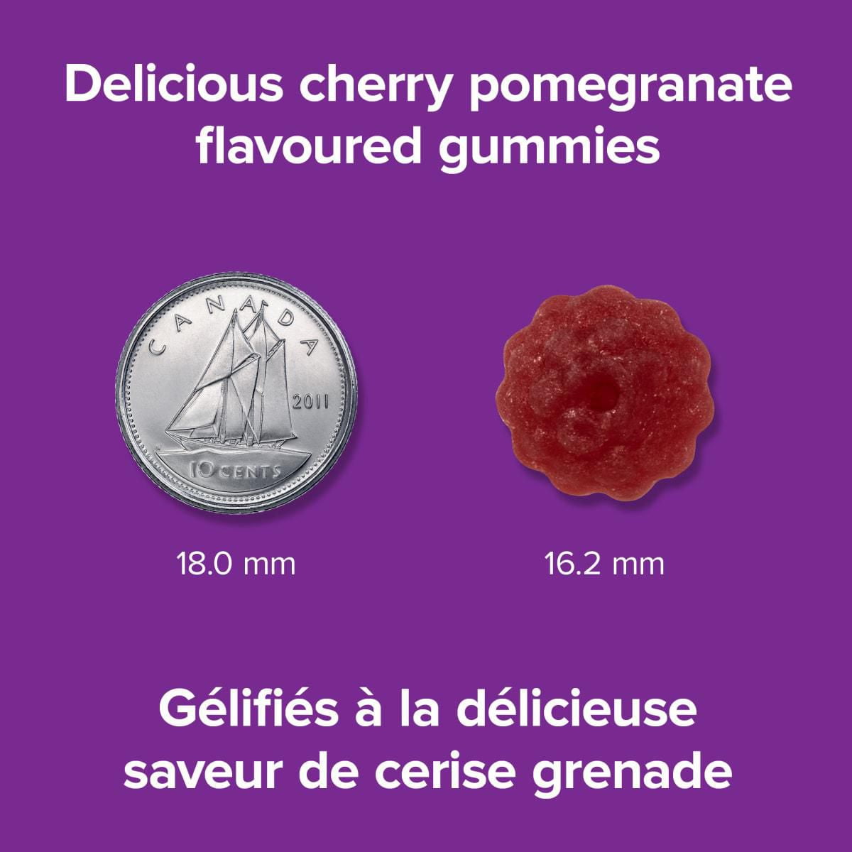 Webber Naturals Melatonin 10mg Gummies – 60 Vegan Gummies Cherry Pomegranate Flavour for Sleep Support – Free Shipping