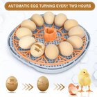Smart Chicken Egg Incubator for Hatching Eggs – Automatic Turner Small Incubator – Free Shipping