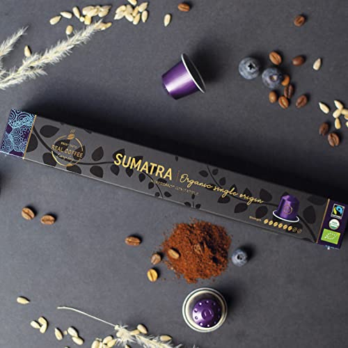 ‘Sumatra’ Organic Italian Espresso for Nespresso Original Line Machines | 100 Aluminum Capsules | Single-Origin Dark Roast | Fairtrade | Coffee Pods Compatible Only with Nespresso Original Machine