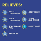 NeoCitran ES Cold & Sinus Night Lemon – 10 Pouches for Nighttime Cold & Sinus Relief – Free Shipping
