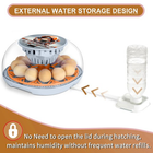 Smart Chicken Egg Incubator for Hatching Eggs – Automatic Turner Small Incubator – Free Shipping
