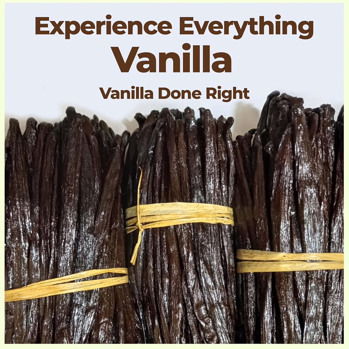 25 Madagascar Vanilla Beans Grade A | 5-Inch Whole Vanilla Pods for Extract & Baking | FREE SHIPPING 🌿🍰