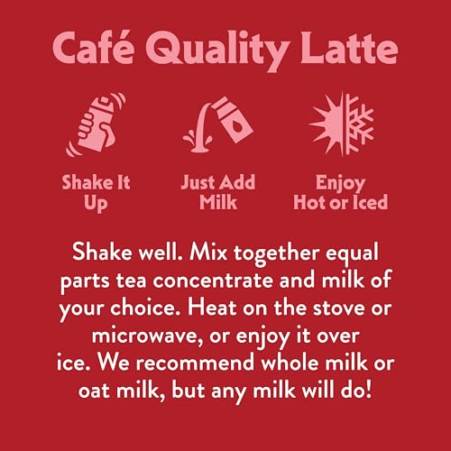 STASH Double Spice Chai Latte Tea Concentrate 32 fl oz | Dairy-Free, Plant-Based, Caffeinated | Free Shipping