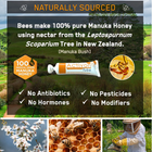 Activon Medical Grade Manuka Honey Wound Gel 0.7 Ounce Natural Healing Cream-First Aid