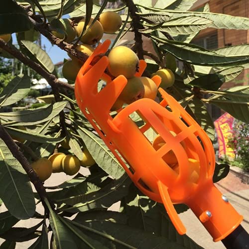 Plastic Fruit Picker Head – Deep Basket Harvester Tool