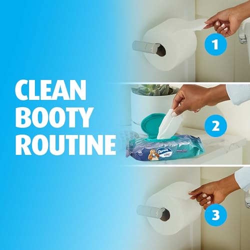 Charmin Flushable Wipes: 12-Pack Value Case (480 Total Wipes) Free Shipping