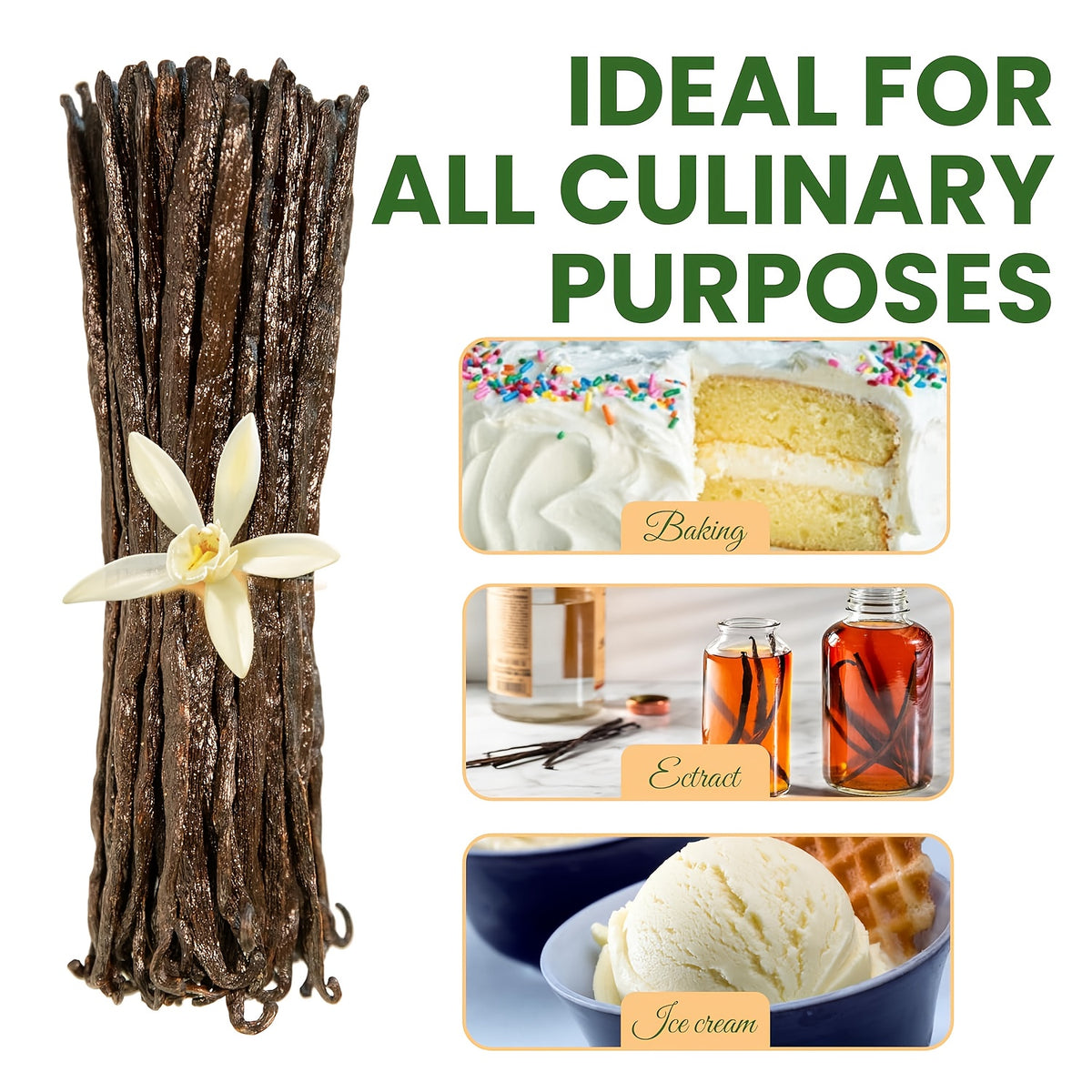 25 Madagascar Vanilla Beans Grade A | 5-Inch Whole Vanilla Pods for Extract & Baking | FREE SHIPPING 🌿🍰