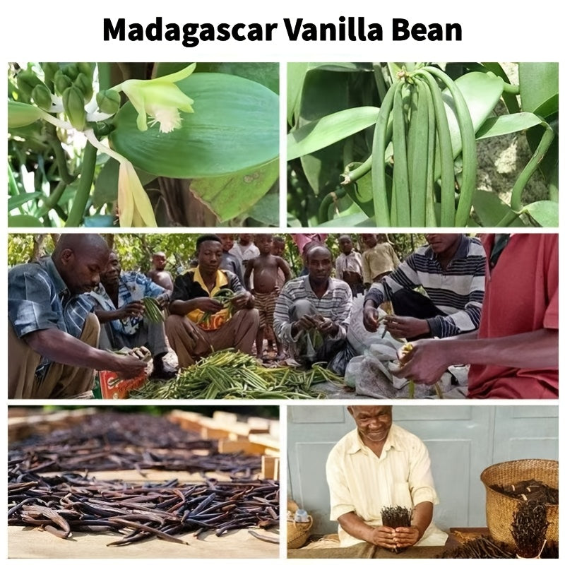 25 Madagascar Vanilla Beans Grade A | 5-Inch Whole Vanilla Pods for Extract & Baking | FREE SHIPPING 🌿🍰