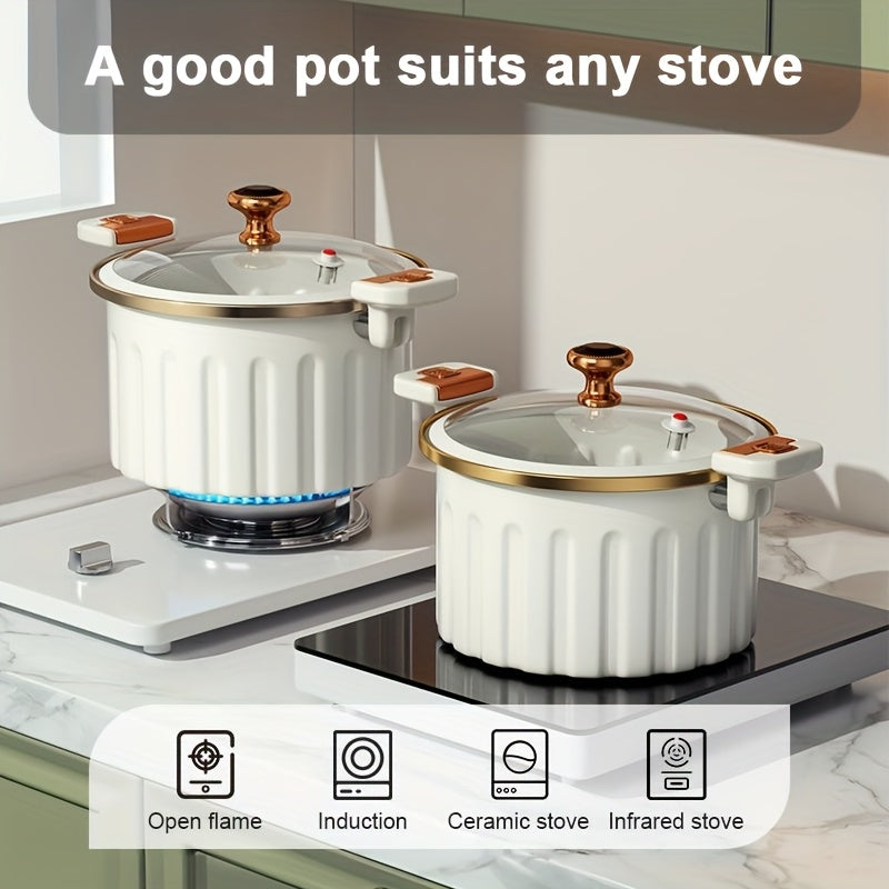 Large Enamel Stew Pot with Double Handles | Nonstick Multifunctional Soup & Stock Pot | Kitchen Cookware | FREE SHIPPING