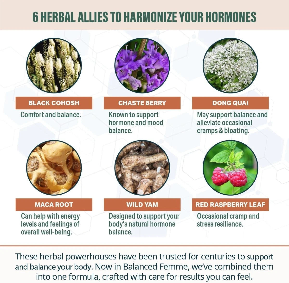 Elite Balanced Femme   - Alcohol-Free Liquid Menopause Support, Energy Boost