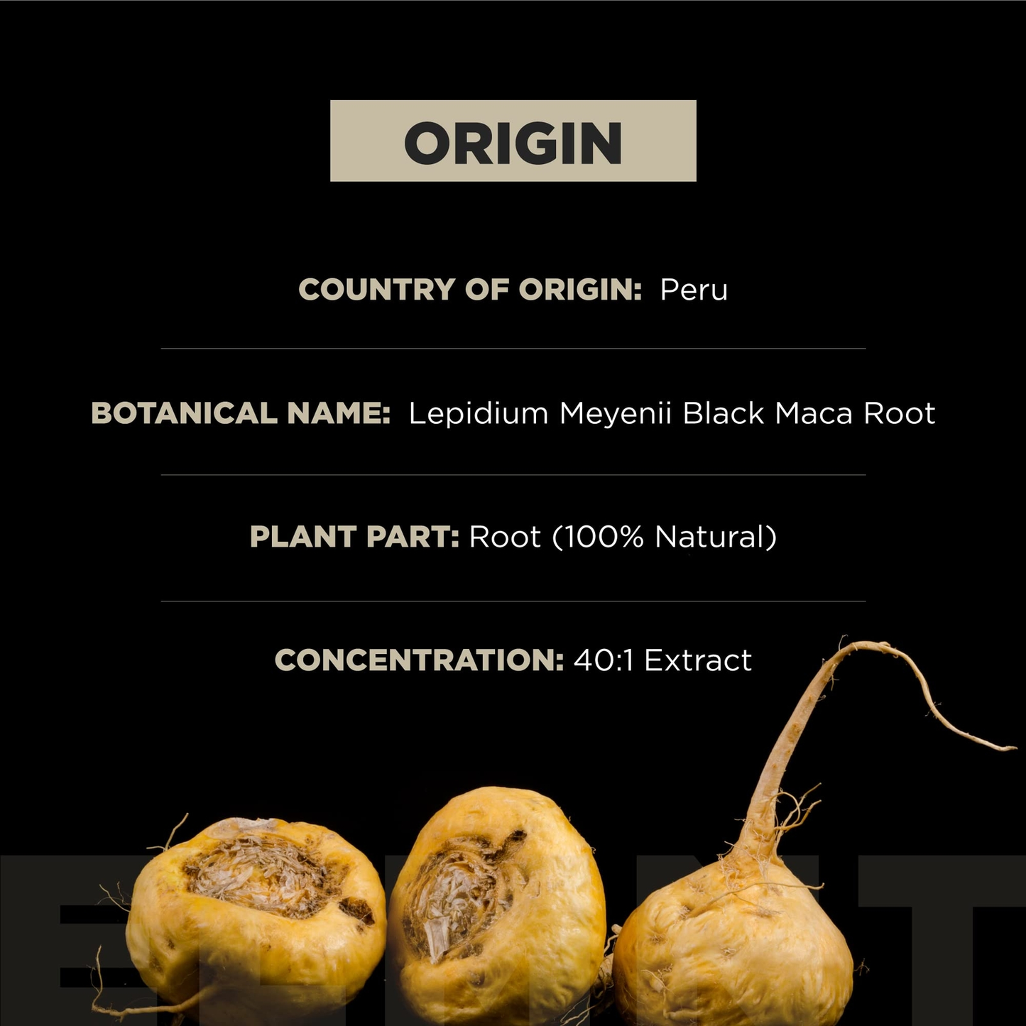 ELMNT Black Maca Root 40000mg Ashwagandha Male Booster 40x Strength Capsules