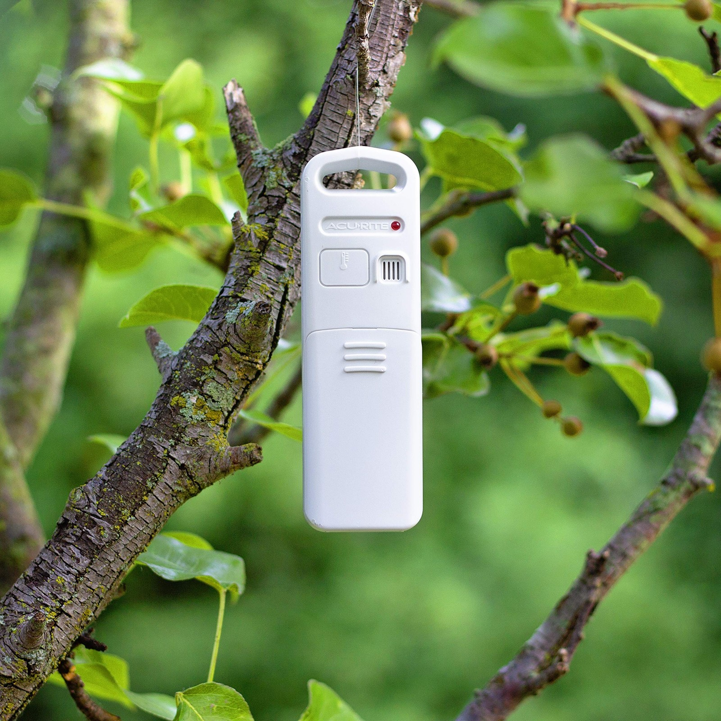 AcuRite Wireless Indoor Outdoor Temperature & Humidity Sensor with A-B-C Switch