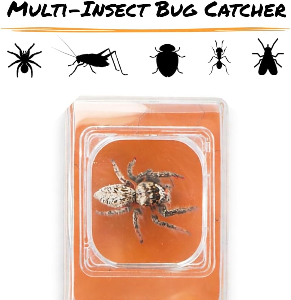 Bugview 5X Magnifying Glass Quick-Release Bug Catcher Indoor and Outdoor Tool fo