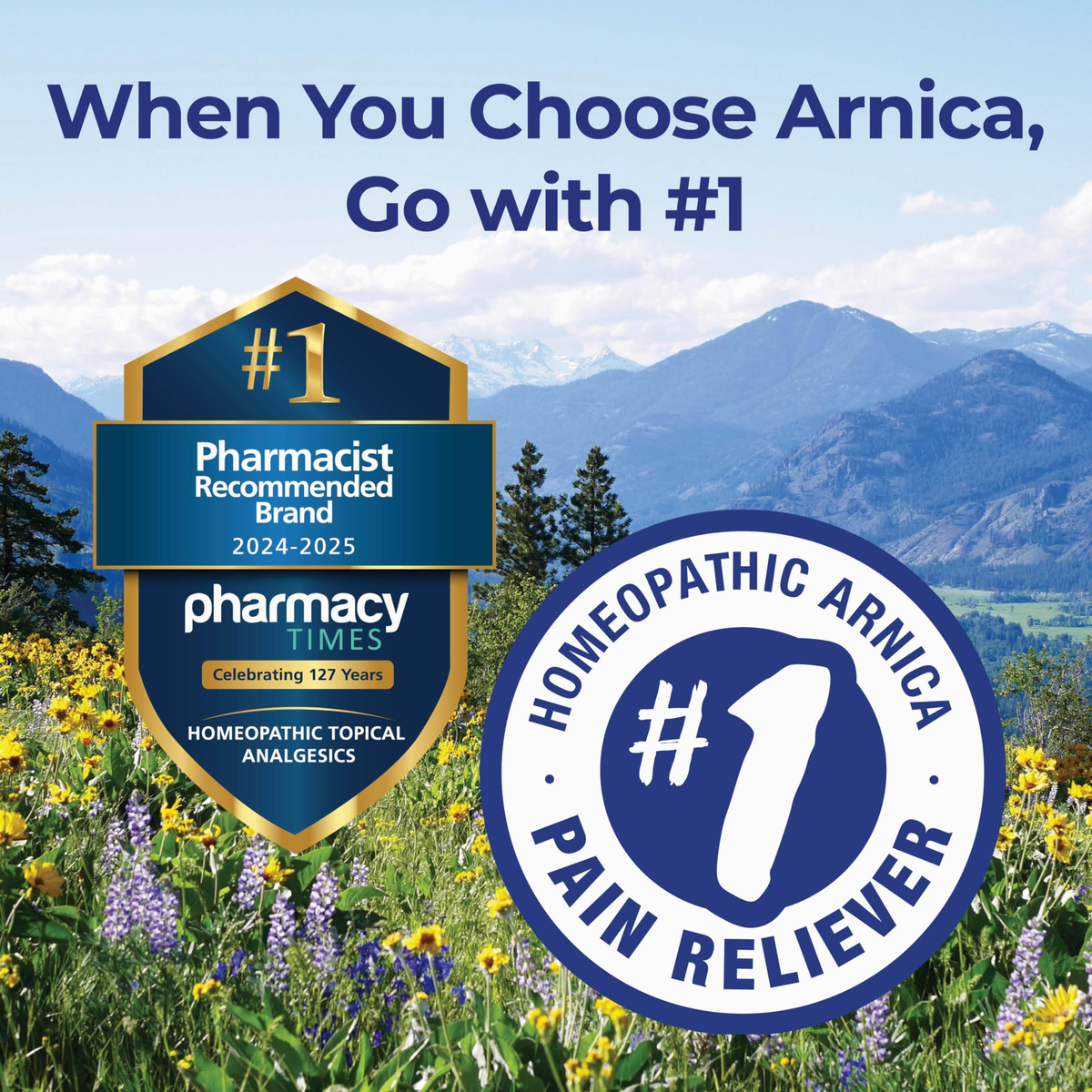 Boiron Arnica Cream 25 Ounce Natural Pain Relief for Muscle Aches and Bruises