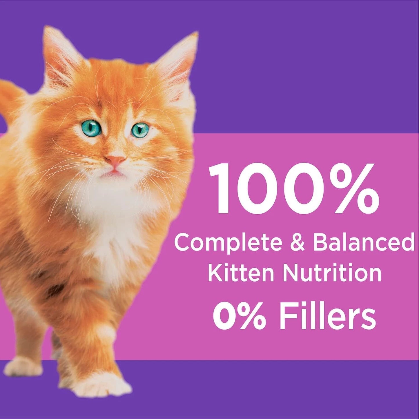 IAMS PROACTIVE HEALTH HEALTHY KITTEN Dry Cat Food with Fish Oil Chicken 3.5-Lbs