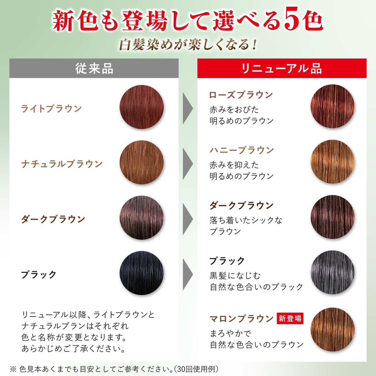 Sastty Rishiri Color Shampoo & Conditioner Dark Brown 500ml Set with Bonus Item