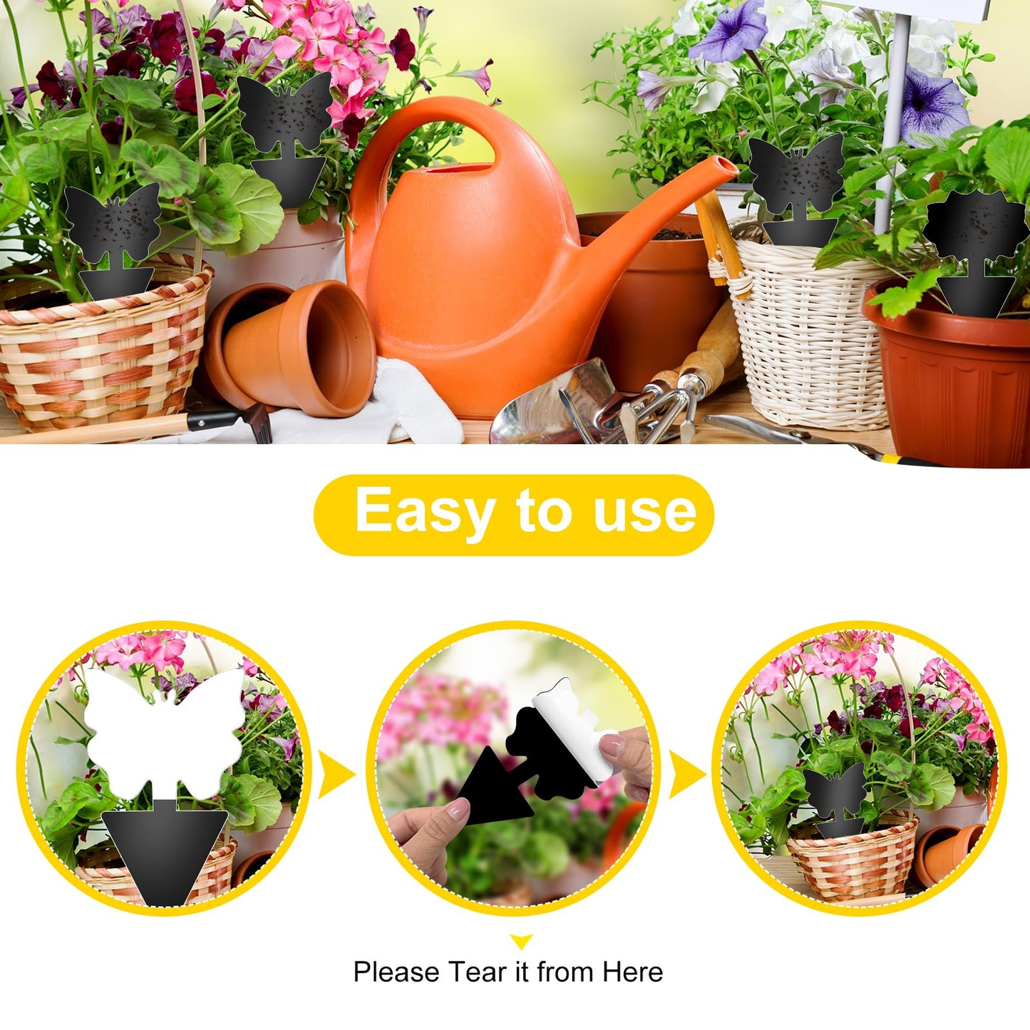 Fruit Fly Traps 60 Pack Black Sticky Traps for Fungus Gnats, Plant Flies & Indoor Plants