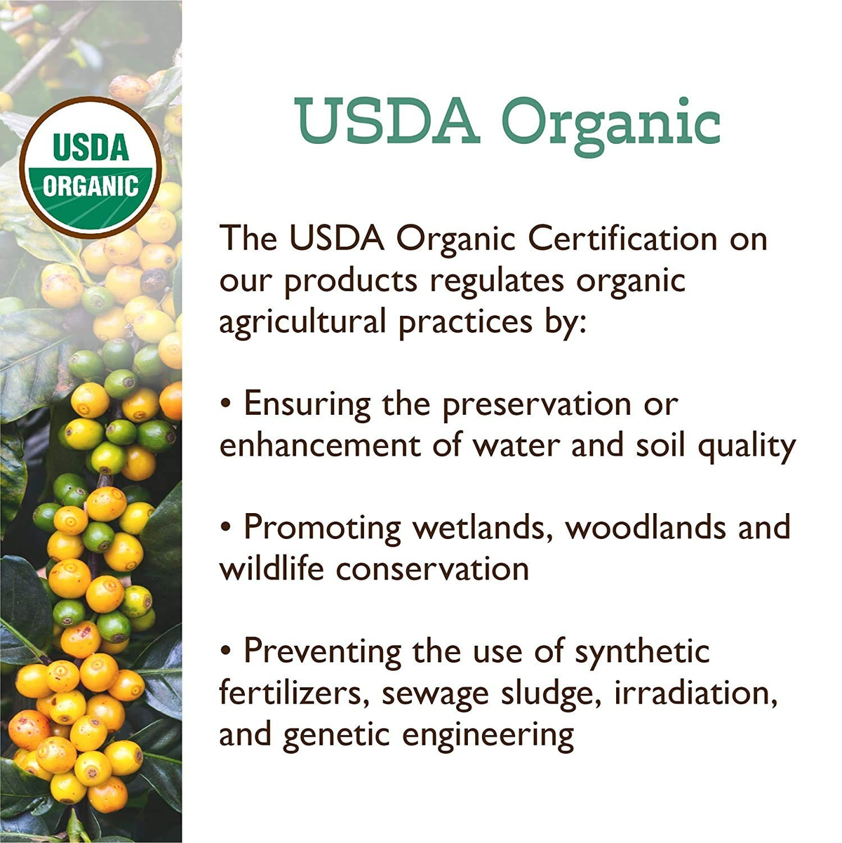 Fresh Roasted Organic Mexican Water-Processed Decaf K-Cup Pods | Keurig Compatible | FREE SHIPPING