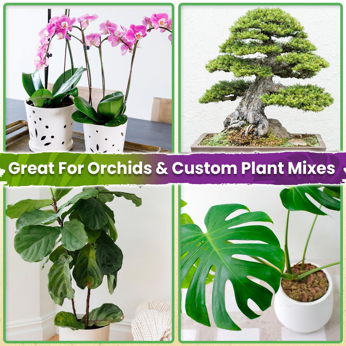 Natural Orchid Bark Pine Mulch | 8 QT Bag | Plant Repotting & Potting Medium | Drainage & Root Aeration | FREE SHIPPING 🌱🪴