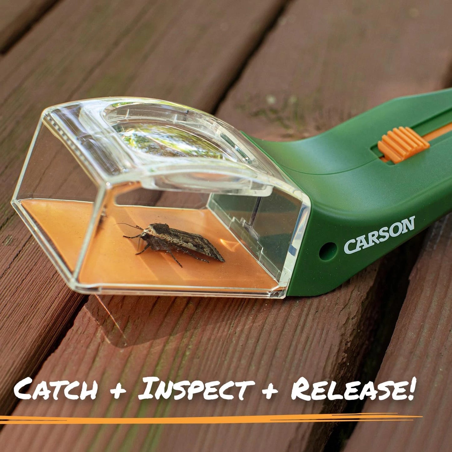Bugview 5X Magnifying Glass Quick-Release Bug Catcher Indoor and Outdoor Tool fo