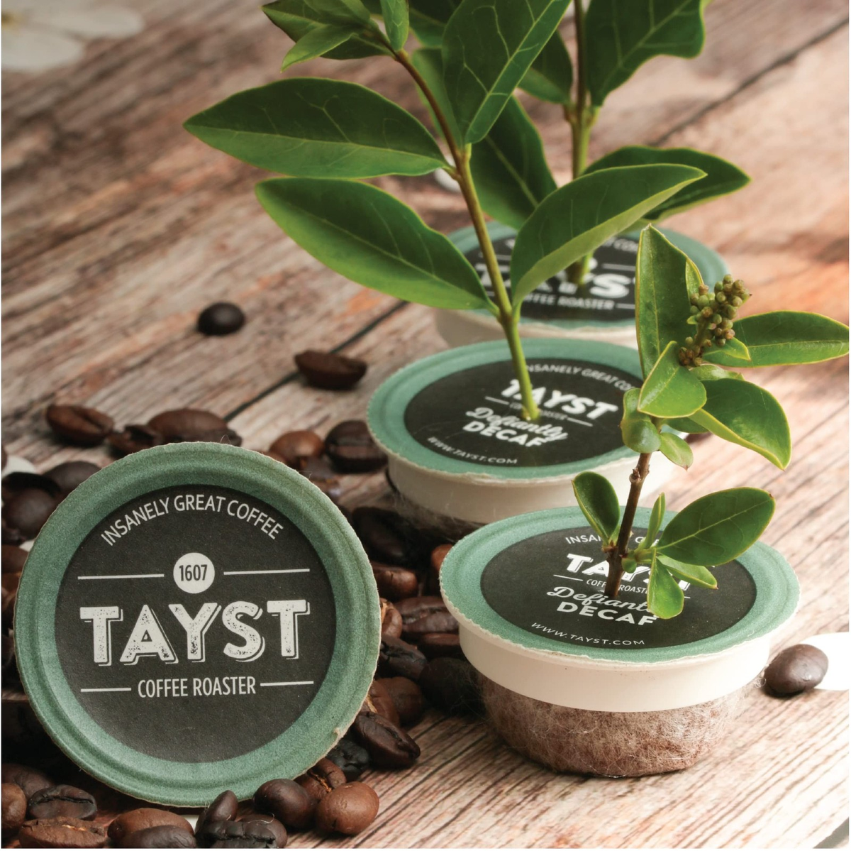 Tayst Happy Hazelnut Coffee Pods Medium Roast K Cup Compatible Single Serve Coffee