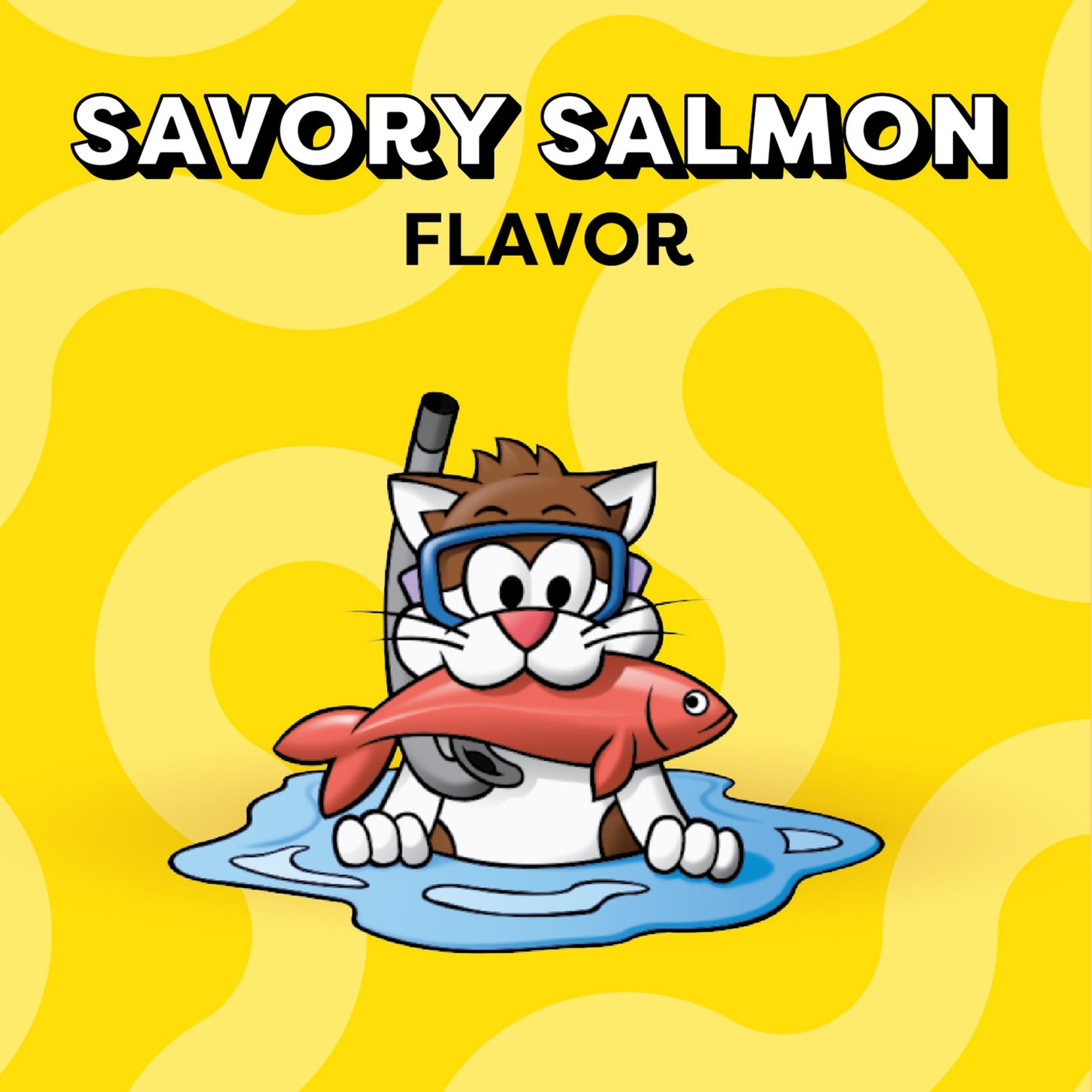 TEMPTATIONS Classic Crunchy & Soft Cat Treats Savory Salmon Flavor 16 oz Tub