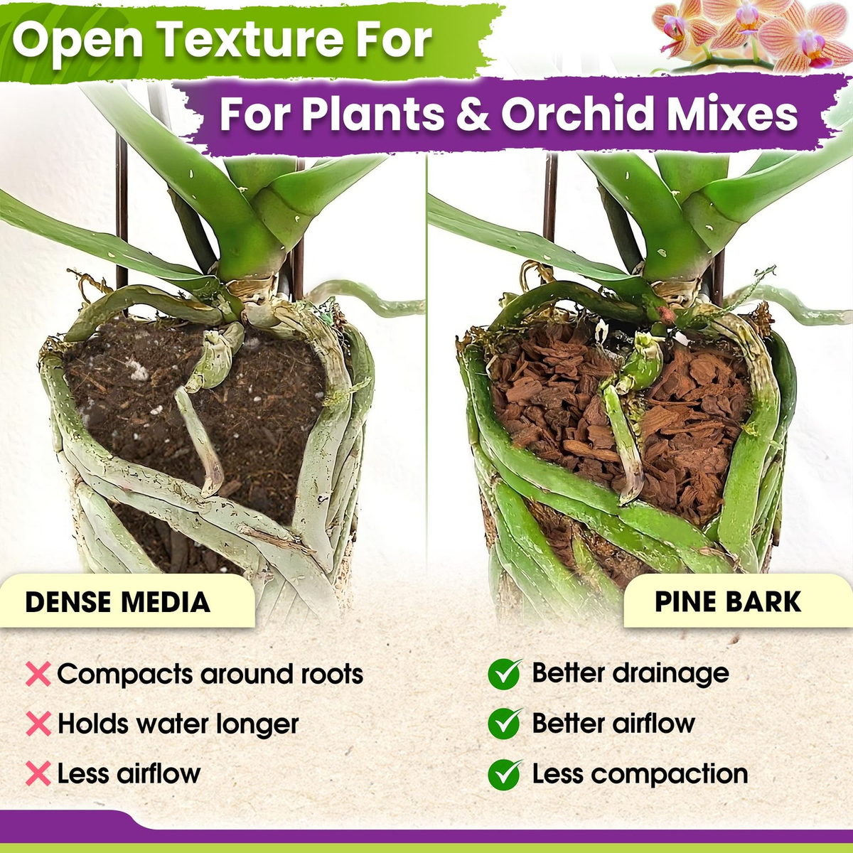 Natural Orchid Bark Pine Mulch | 8 QT Bag | Plant Repotting & Potting Medium | Drainage & Root Aeration | FREE SHIPPING 🌱🪴