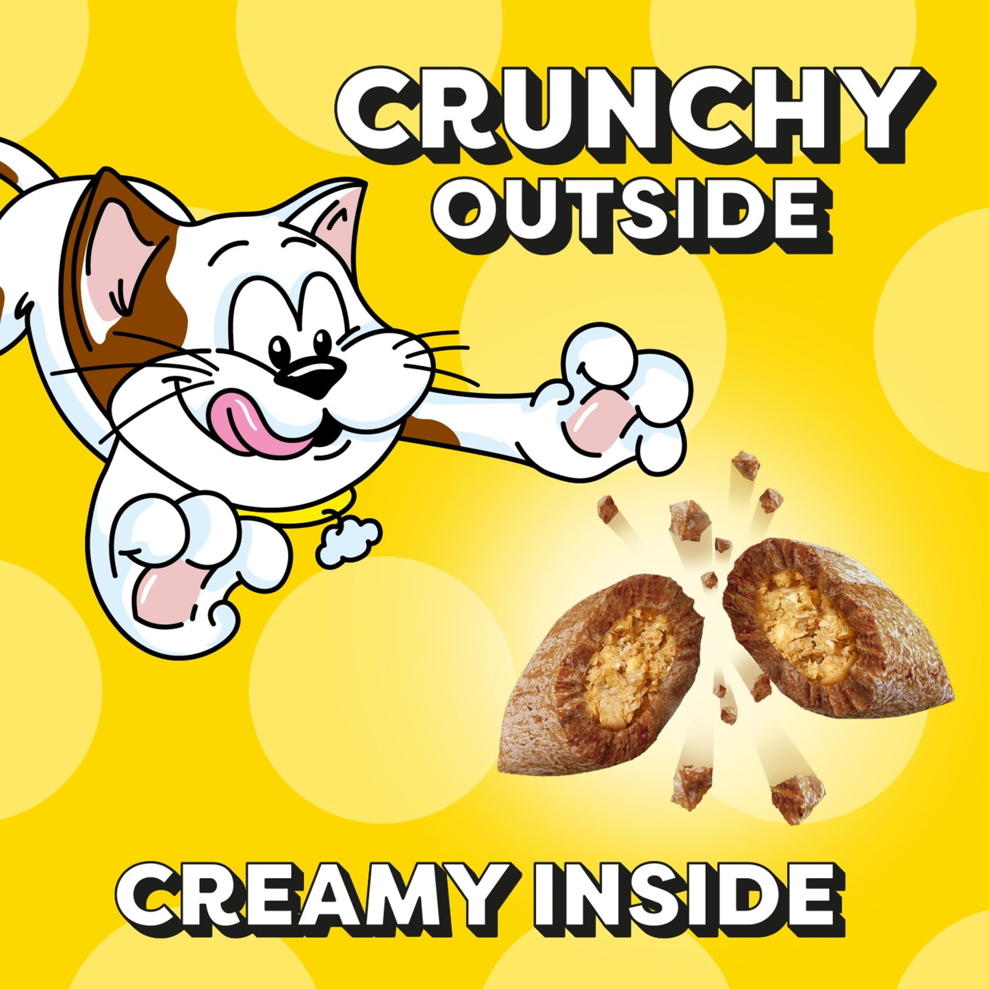 TEMPTATIONS Classic Crunchy & Soft Cat Treats Savory Salmon Flavor 16 oz Tub