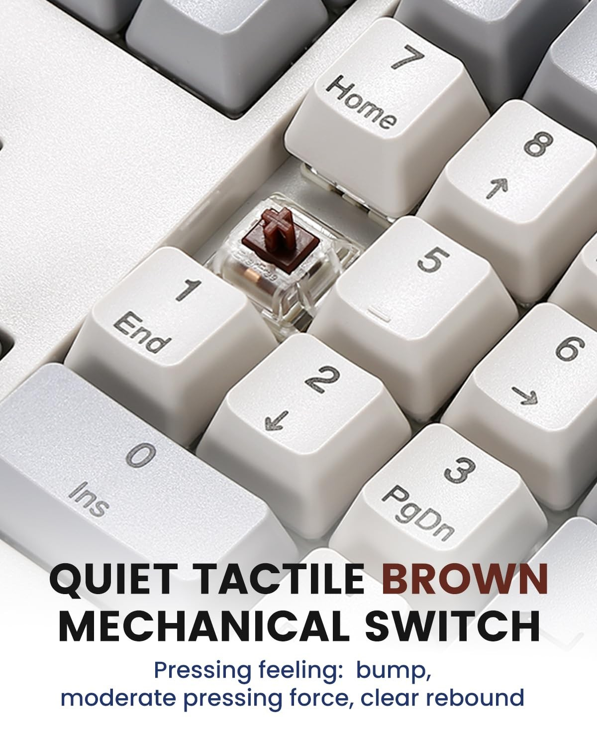 Retro Full-Size Mechanical USB Keyboard | Brown Tactile Switch | Wired 104-Key Keyboard | FREE SHIPPING ⌨️🖥️
