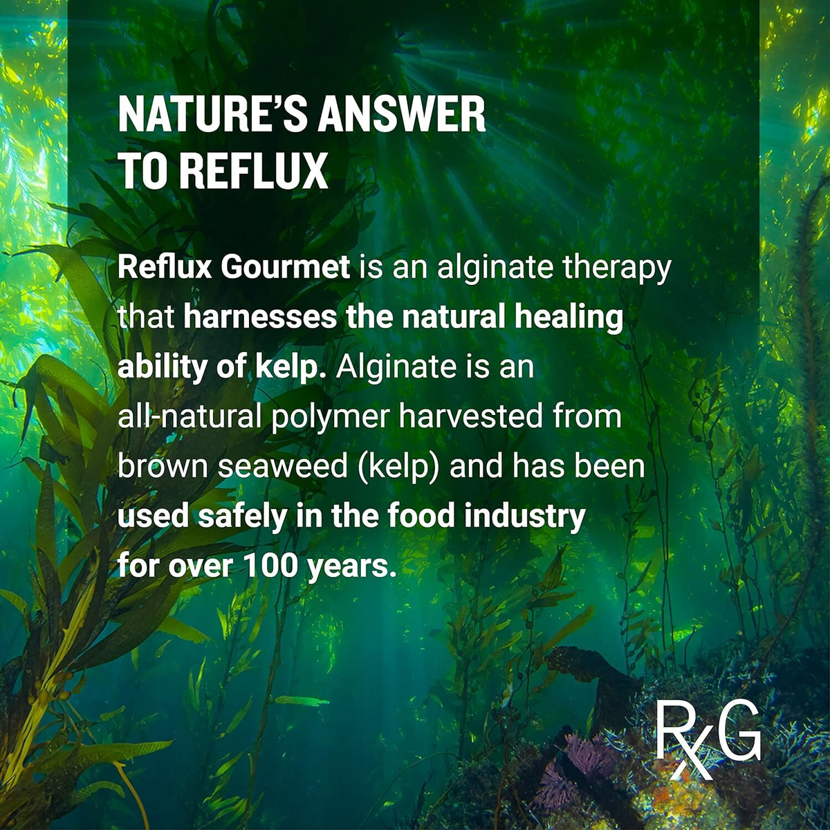 Reflux Gourmet Vanilla Caramel Heartburn Relief Supplement | All-Natural Alginate Formula | 8 fl oz (236 mL) | FREE SHIPPING 🌿