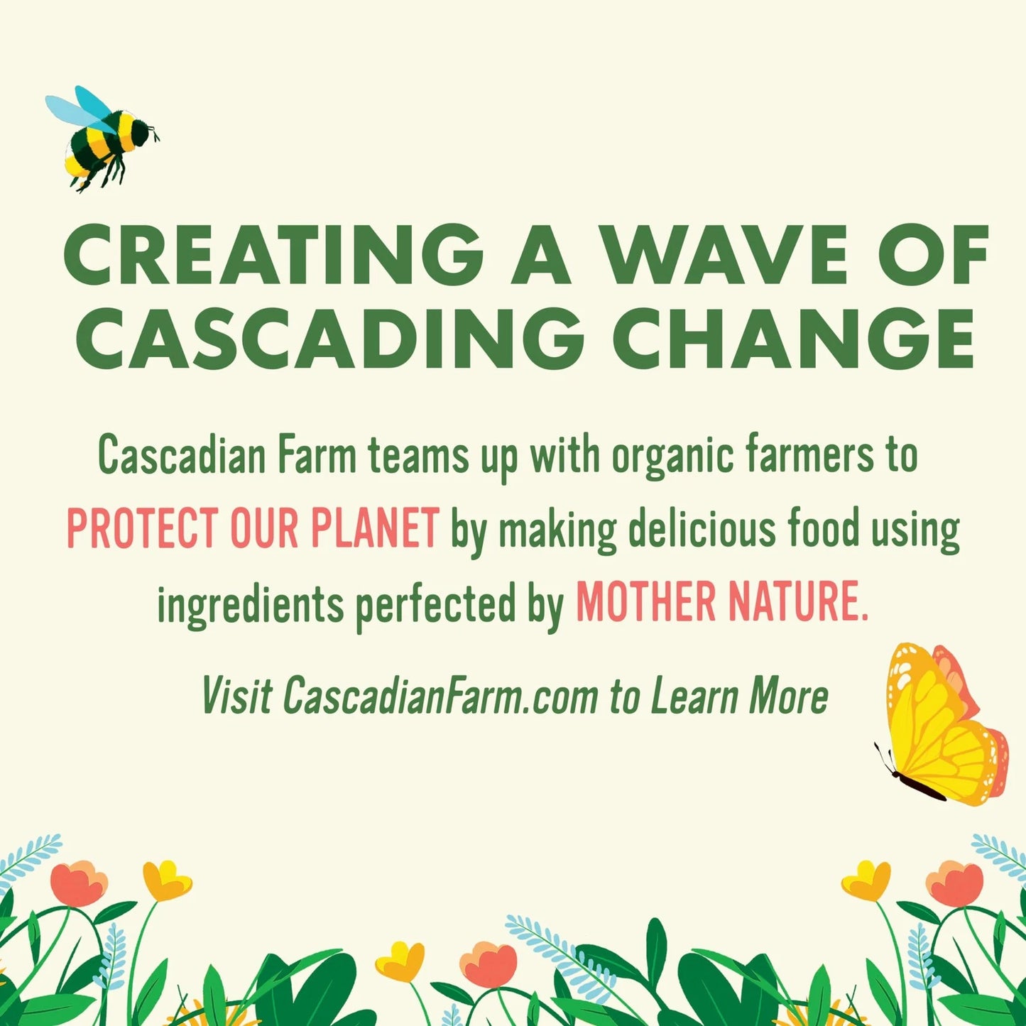 Cascadian Farm Organic No Added Sugar Vanilla Crisp Cereal 12 Ounce Box