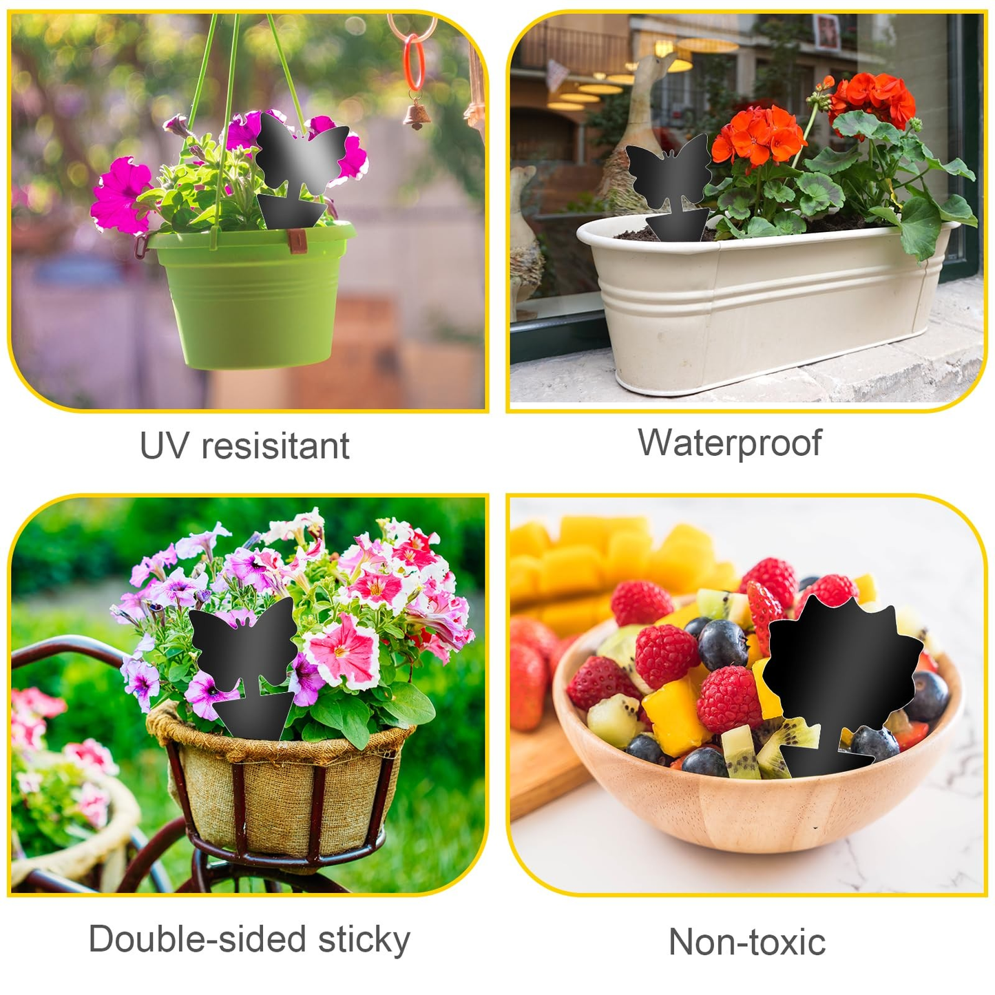 Fruit Fly Traps 60 Pack Black Sticky Traps for Fungus Gnats, Plant Flies & Indoor Plants